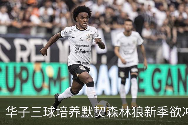 华子三球培养默契森林狼新季欲冲佳绩
