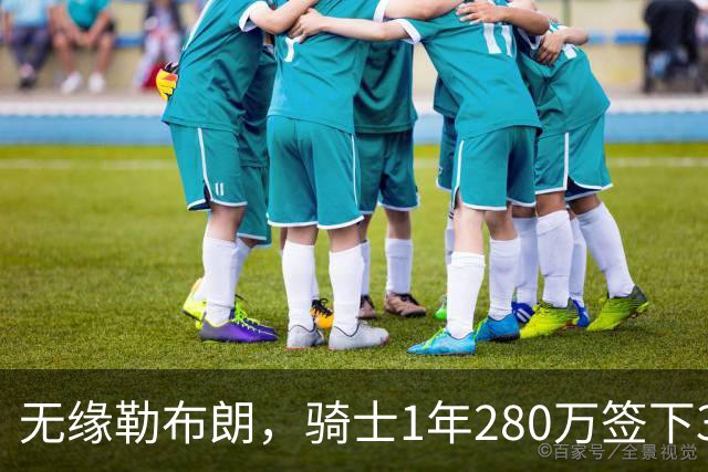 无缘勒布朗，骑士1年280万签下31岁欧洲前锋赫佐尼亚