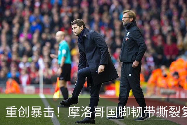 重创暴击！摩洛哥国脚韧带撕裂复出再伤 汉堡逆势押注赌其逆天翻盘